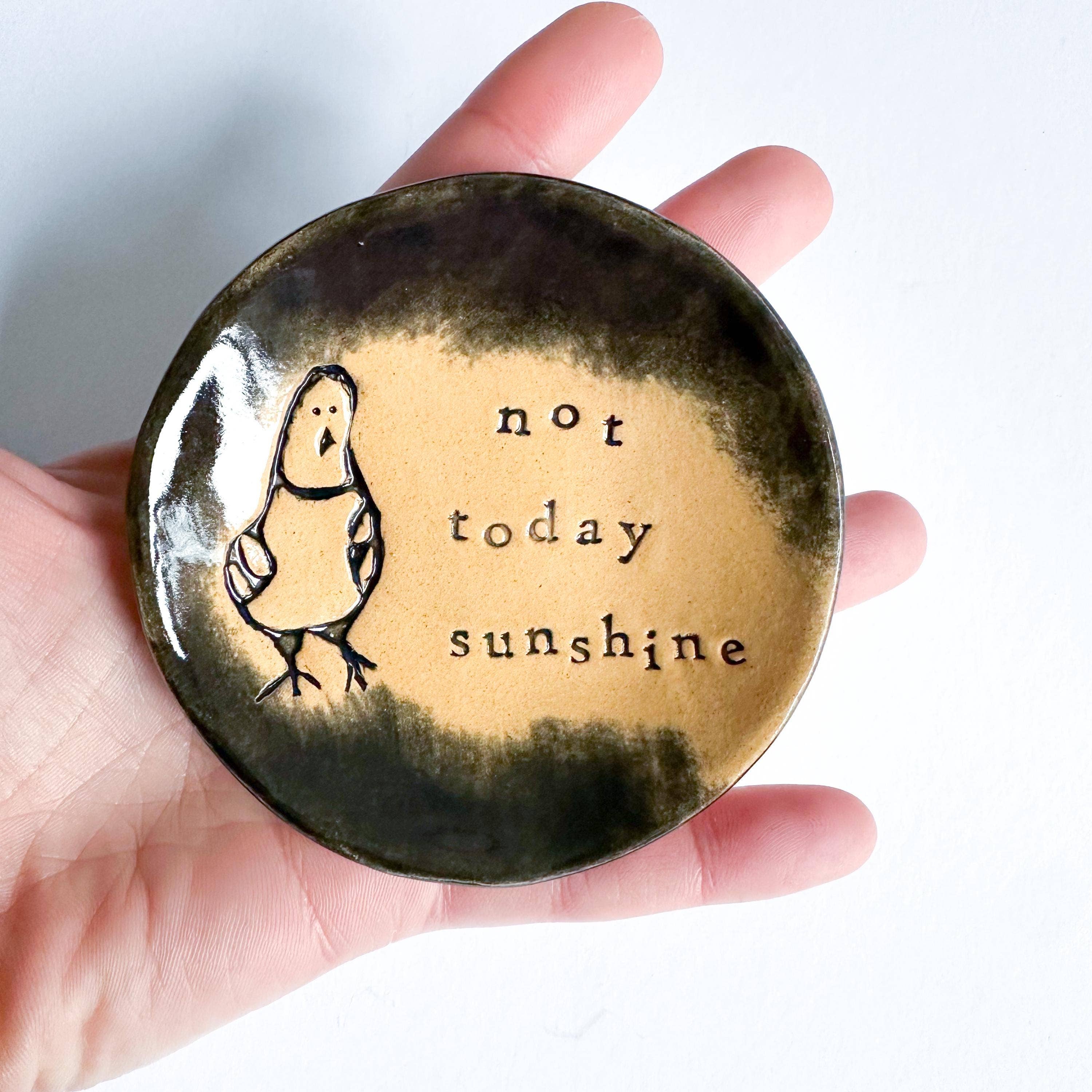 Ceramic Pigeon Trinket Dish - Not Today Sunshine!: Pink