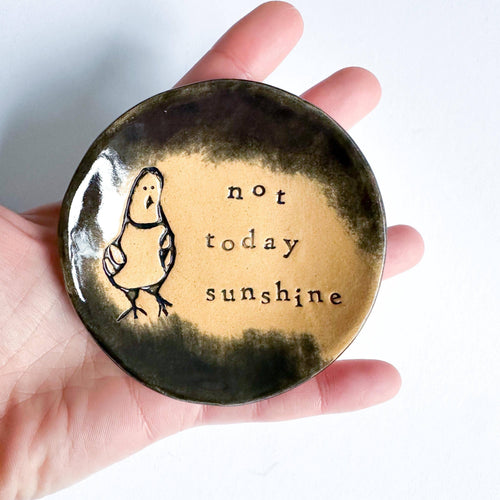 Ceramic Pigeon Trinket Dish - Not Today Sunshine!: Pink