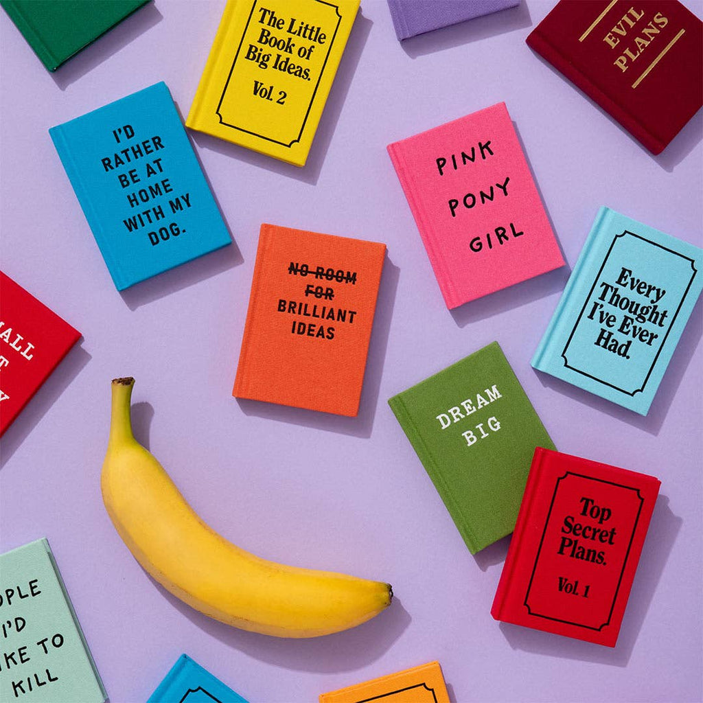 Bridget Jones's Mini Diary Fabric Hardback Notebook (A7) (13493)