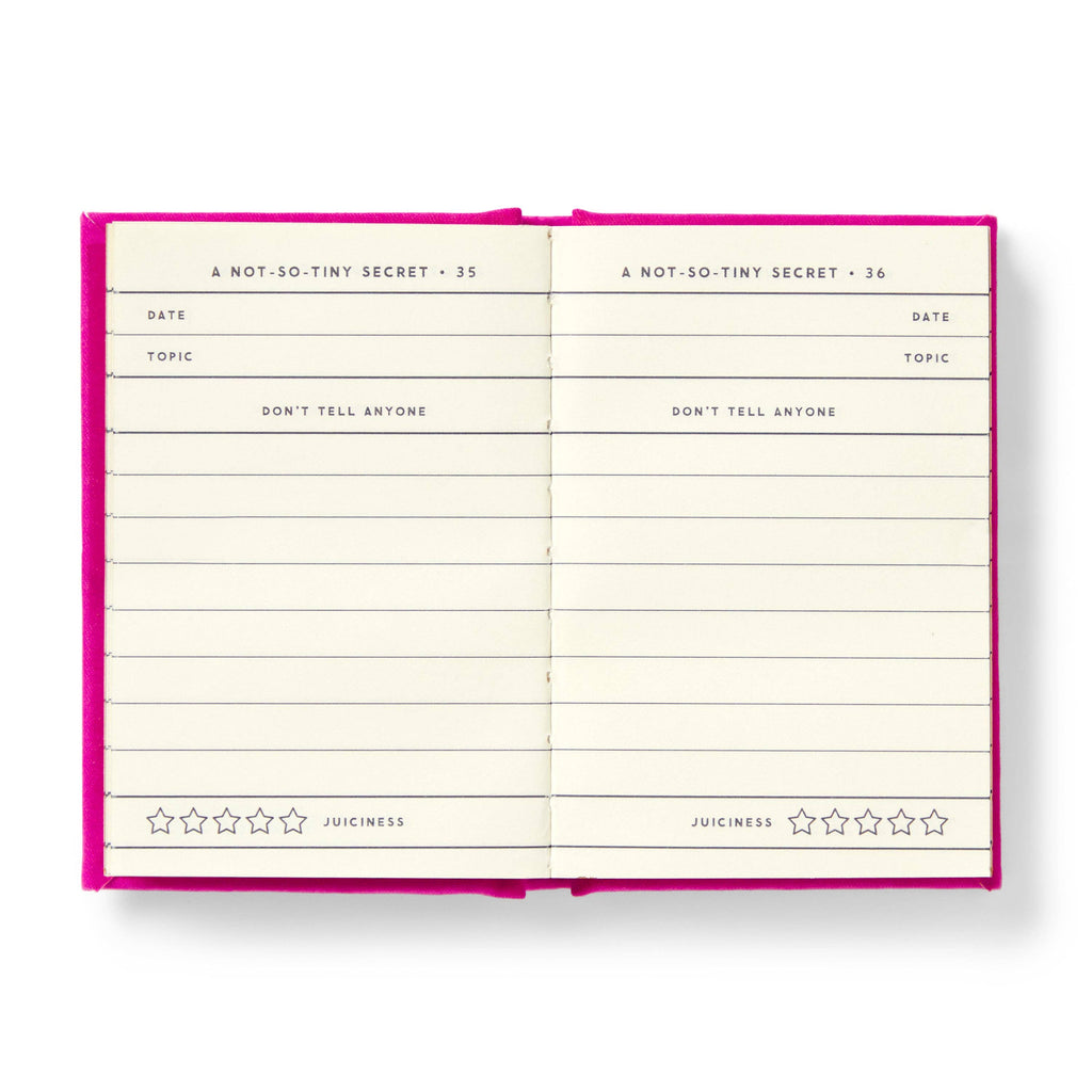 Tiny Diary for Not So Tiny Secrets (Diary or Journal)