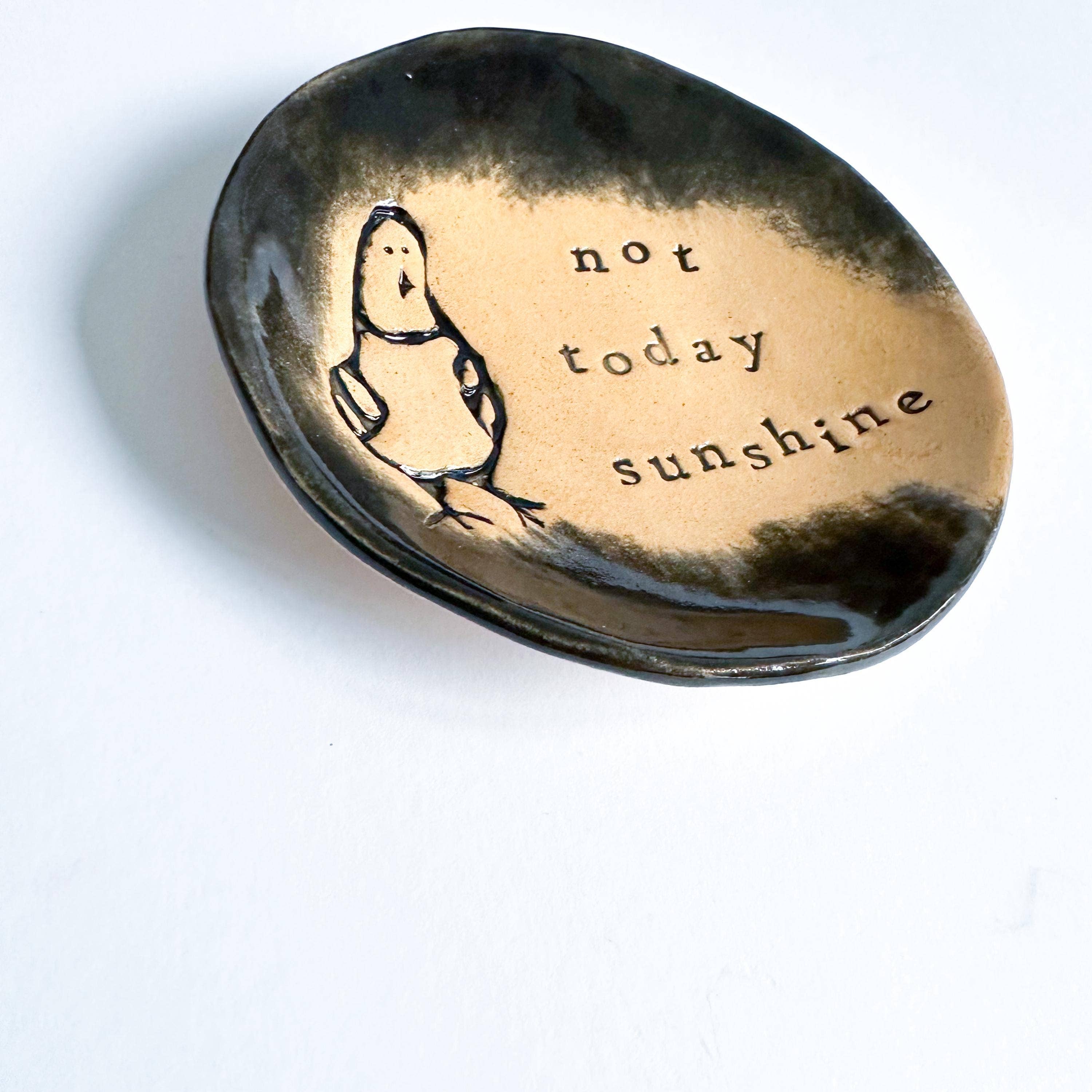 Ceramic Pigeon Trinket Dish - Not Today Sunshine!: Pink