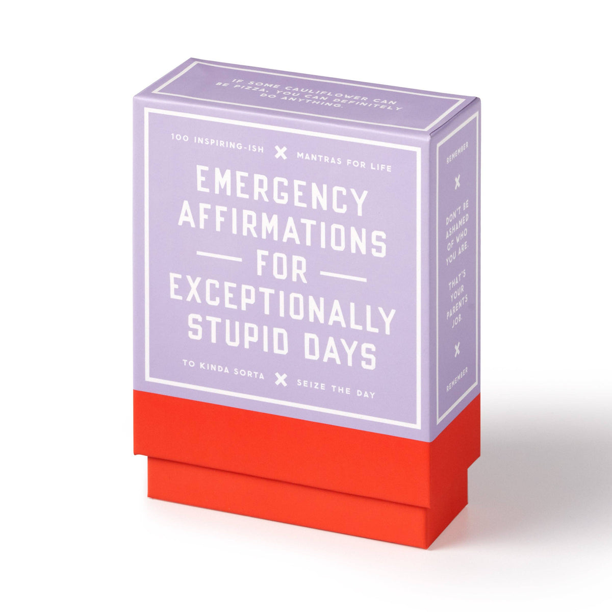 Emergency Affirmations for Exceptionally Stupid Days Card Deck (Flash Cards (Decks))