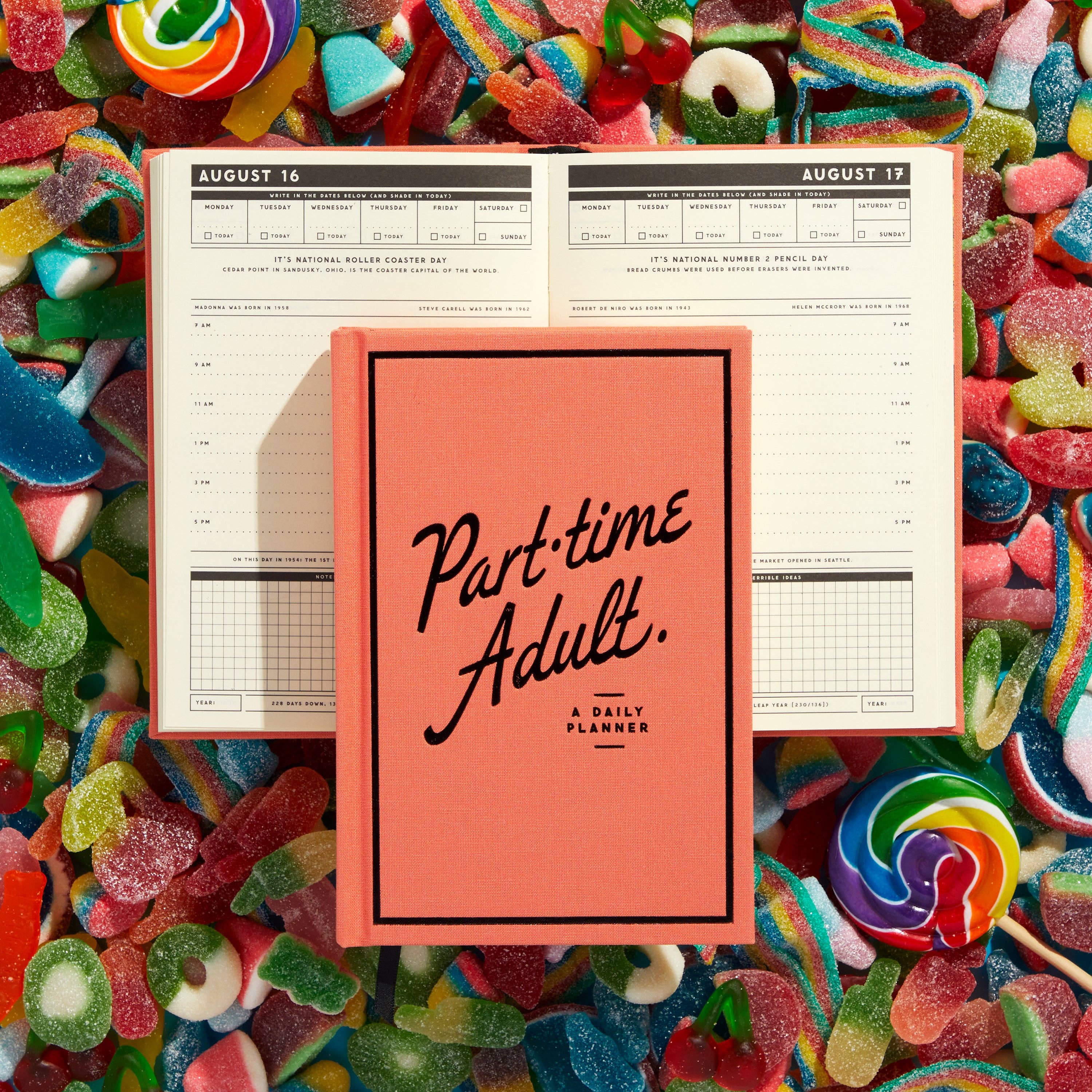 Part-Time Adult Undated Daily Planner (Diary or Journal)