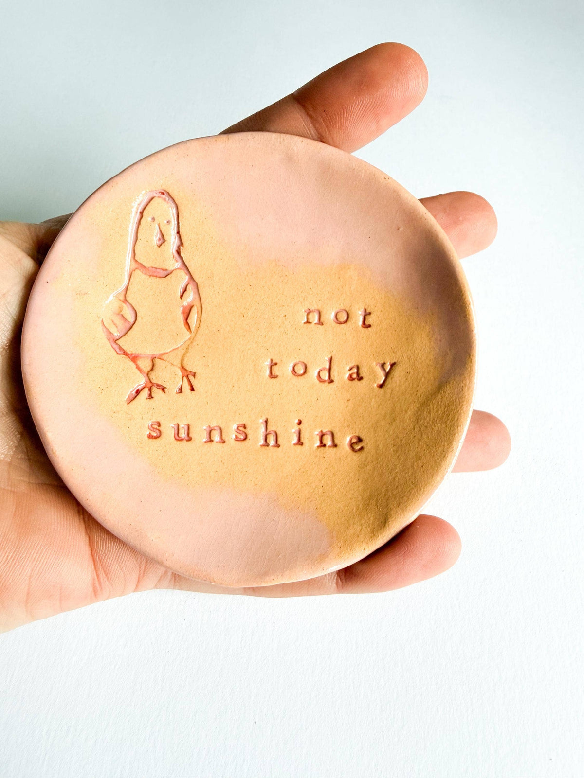 Ceramic Pigeon Trinket Dish - Not Today Sunshine!: Pink